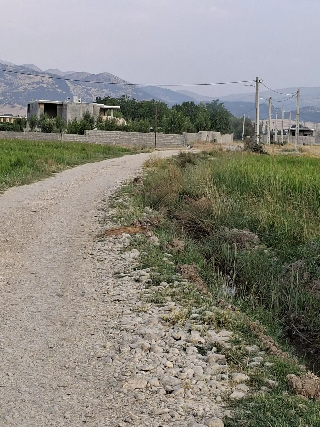 فروش 600متر زمین روستای نرگاه