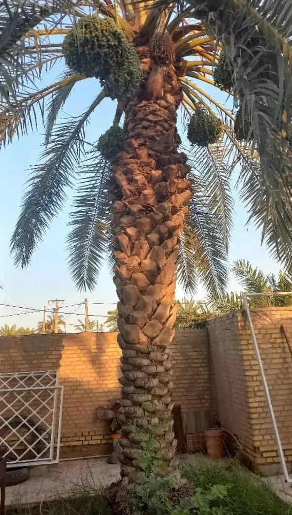 فروش زمین و معاوضه