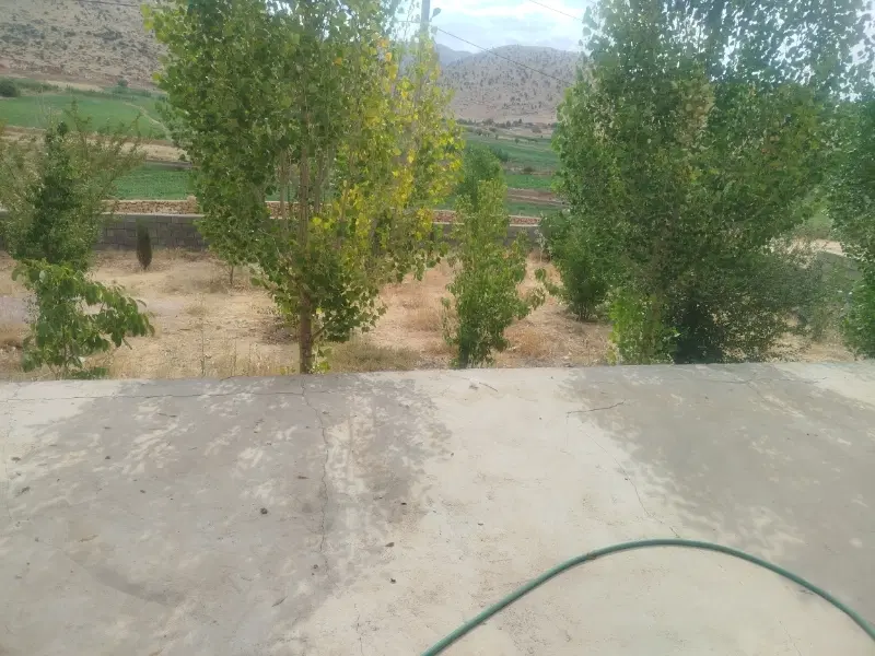 زمین کلنگی