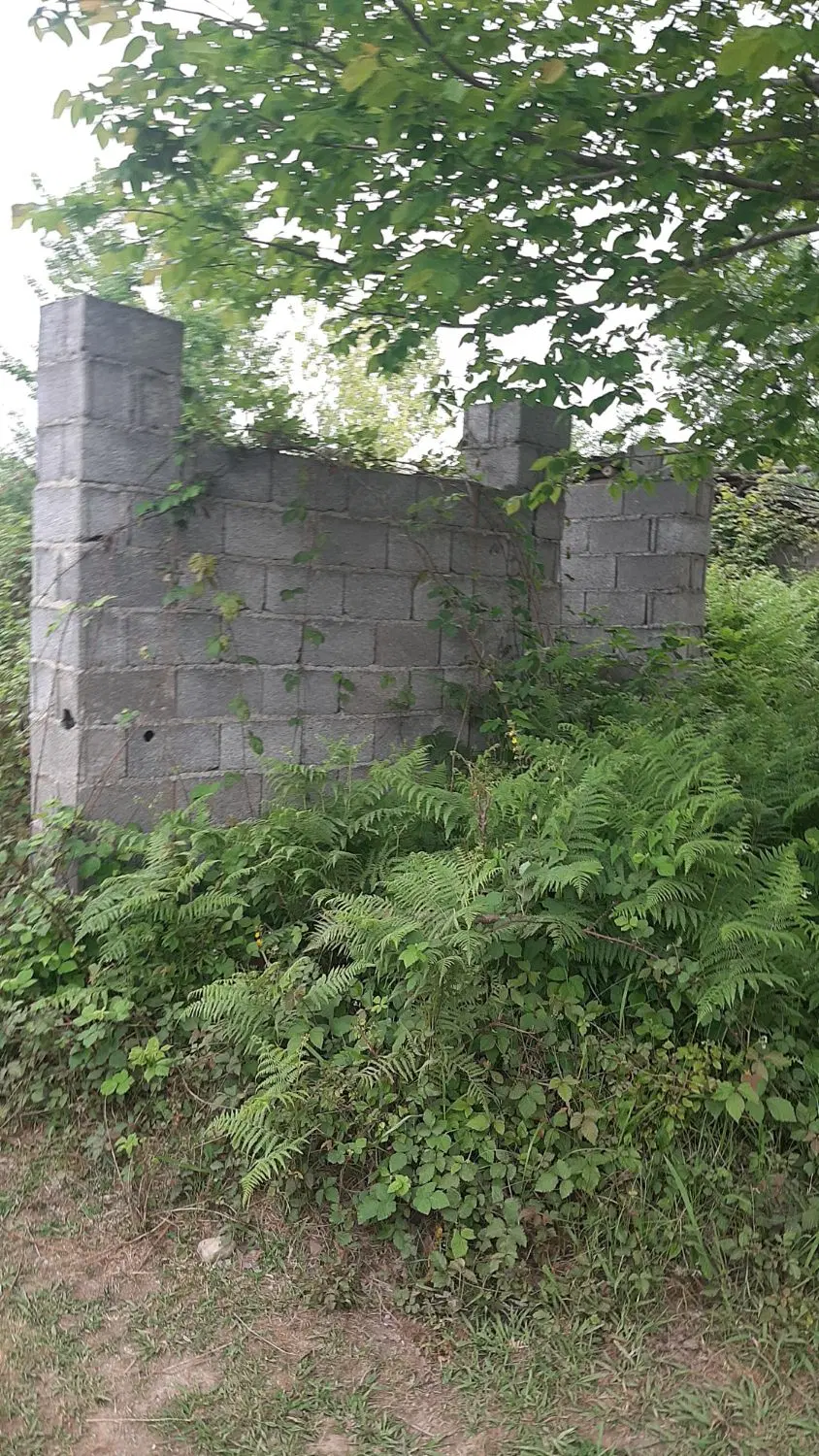 زمین با کاربری مسکونی طرخ هادی
