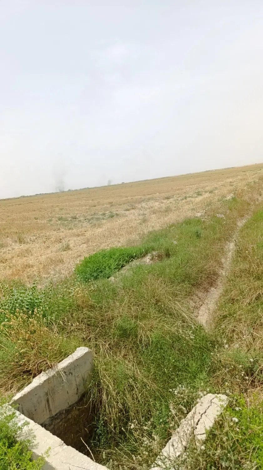 زمین کشاورزی