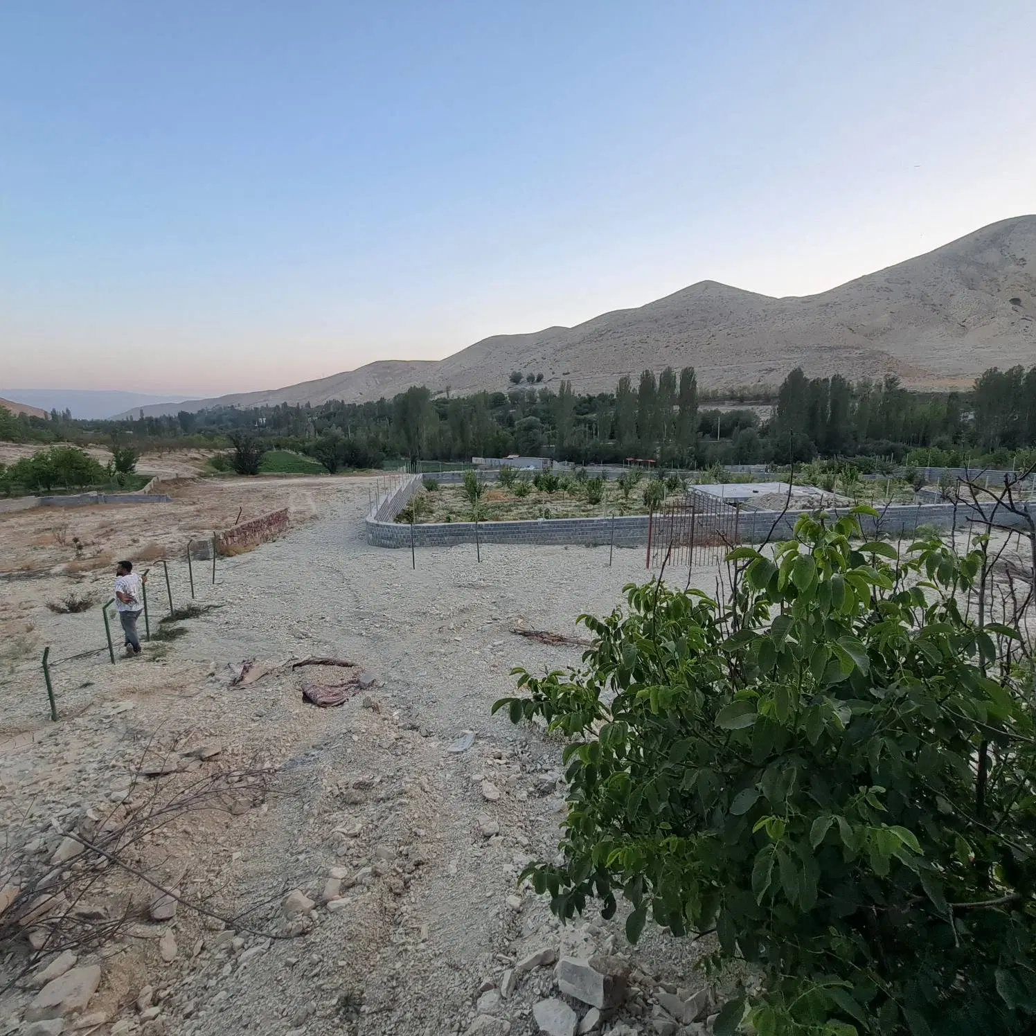 زمین کشاورزی و مسکونی