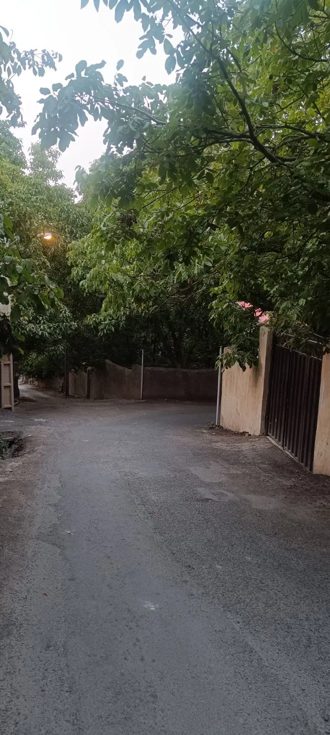 باغ