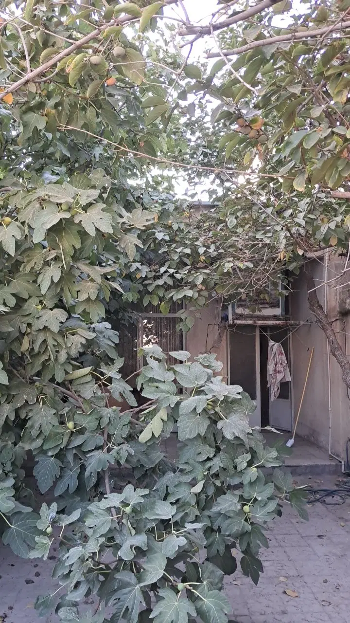 خانه ویلایی قابل تعمیرات وسکونت