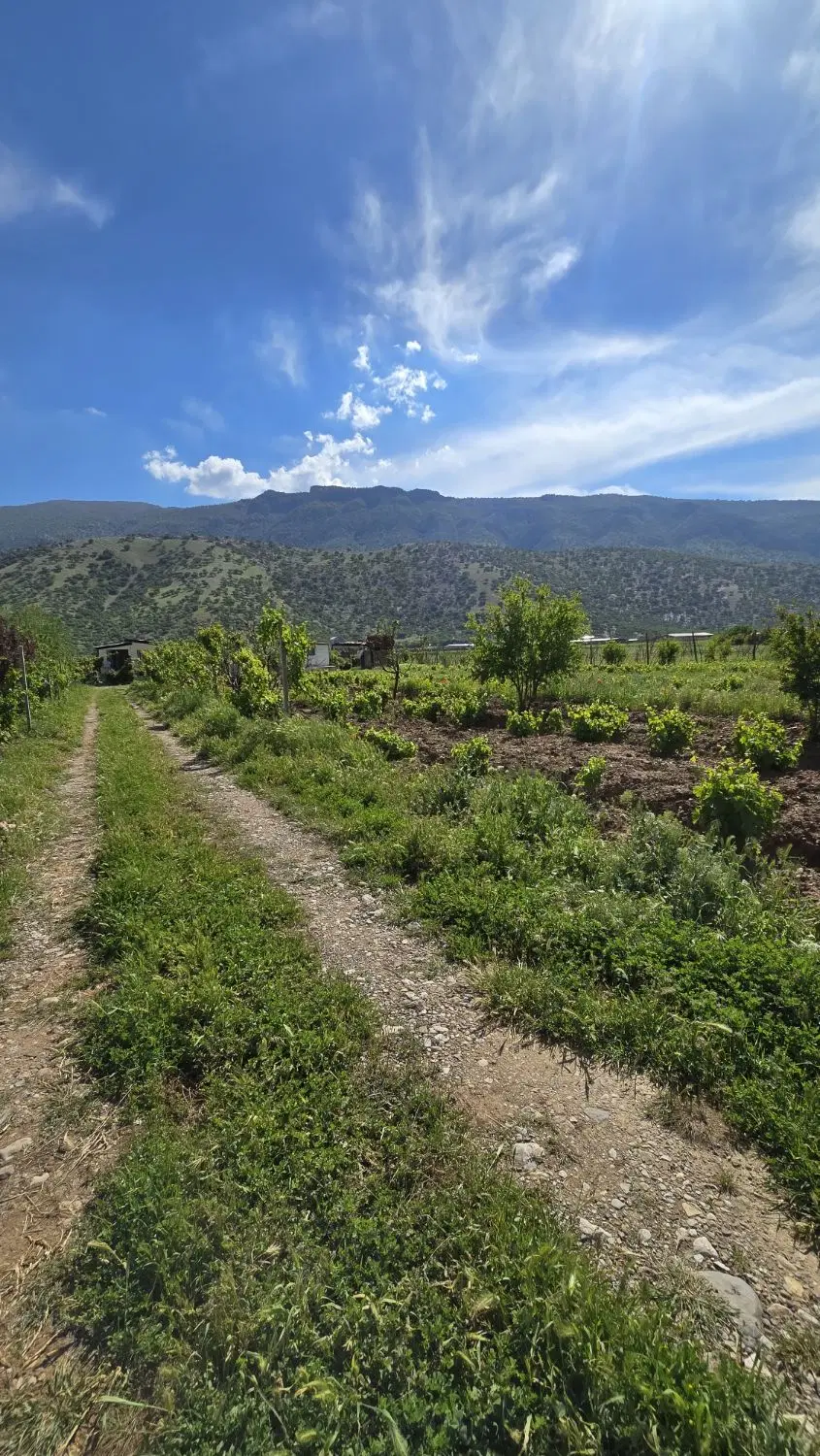 زمین مسکونی قلعه سنگی سفید کوه یک