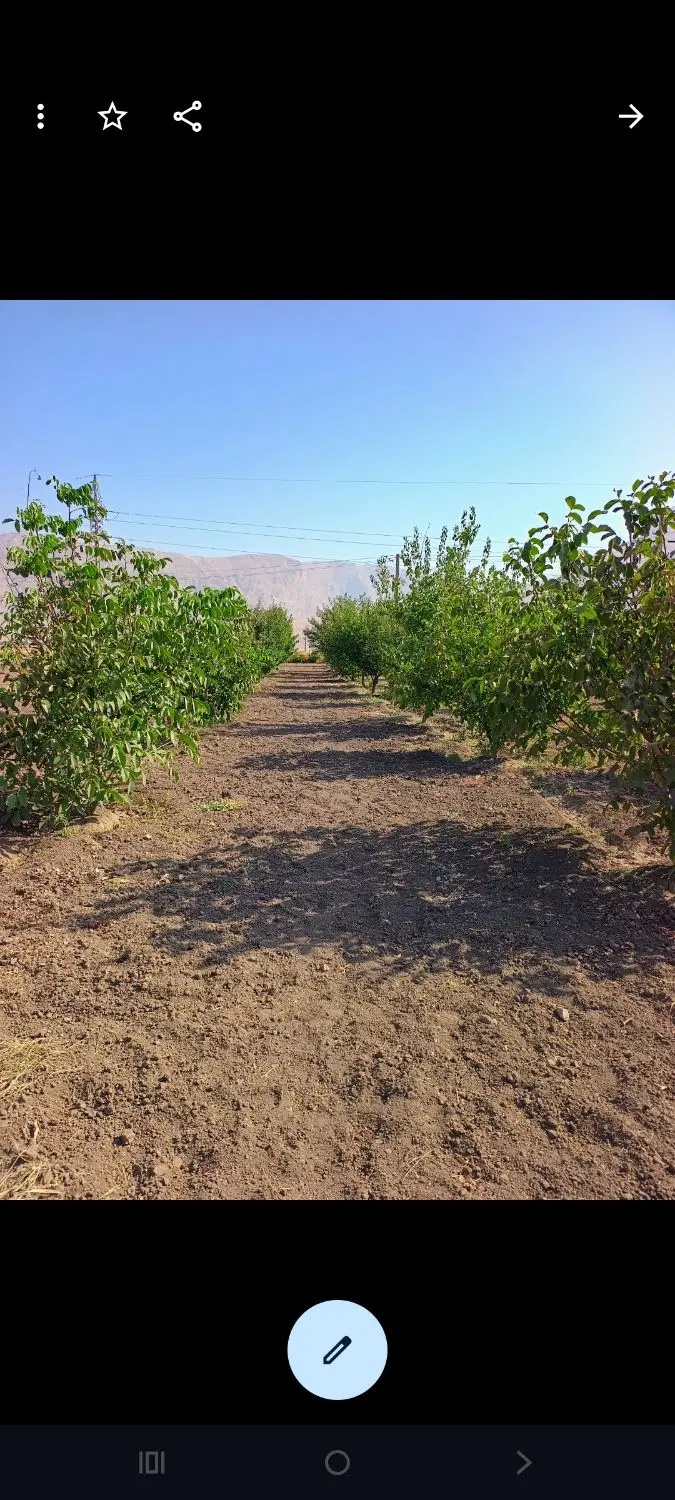 باغ 4000متری
