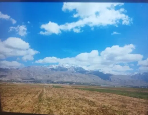 زمین سیاه بید علیا