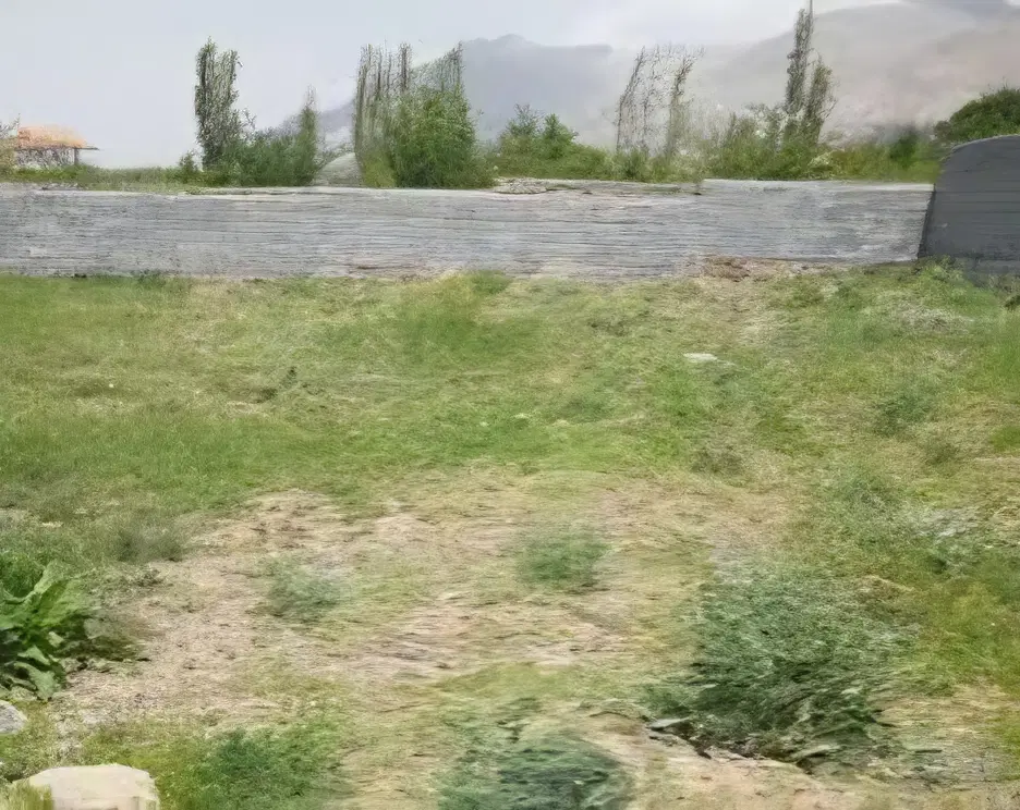 زمین روستایی باغی