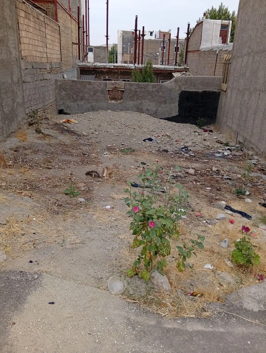 یک قطعه زمین