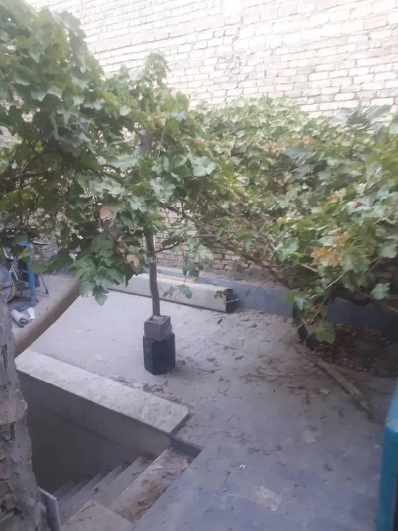 تهاتر یا فروش