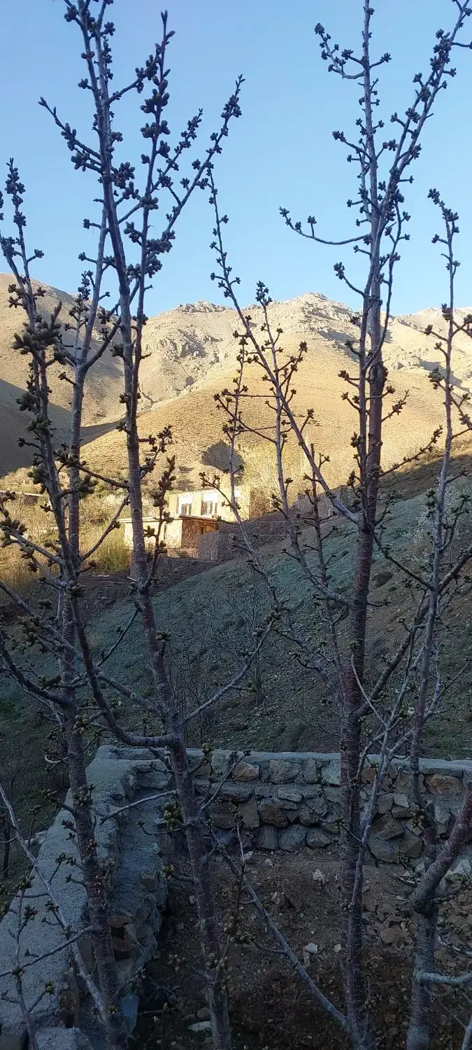 اوشان فشم امامه دارکیا ۱۰۰متر تا۱۰۰۰۰۰متر اقساطی