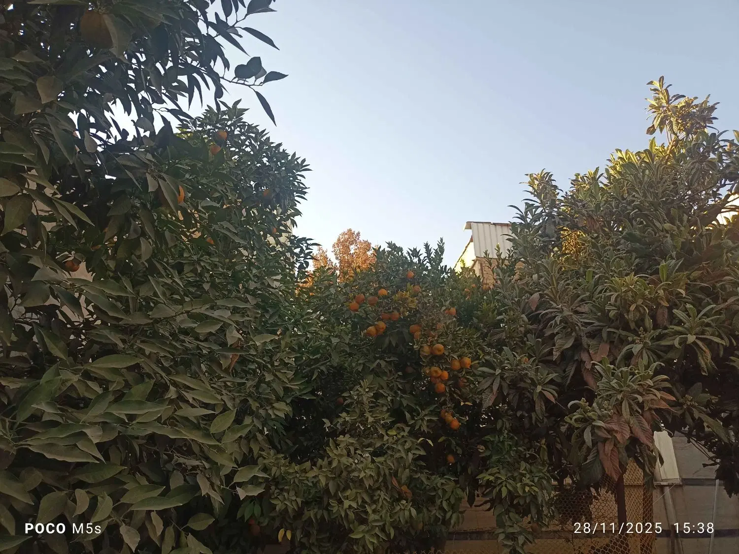 ویلایی مناسب ساخت