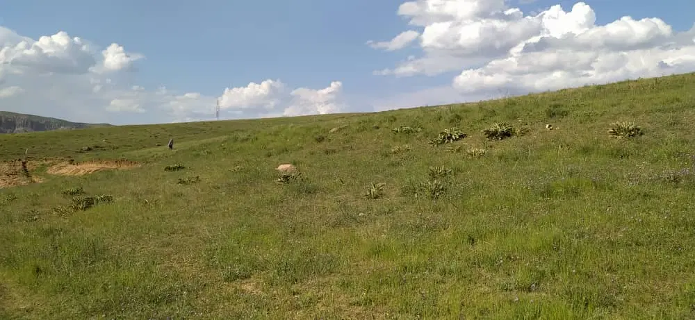 زمین ویلای