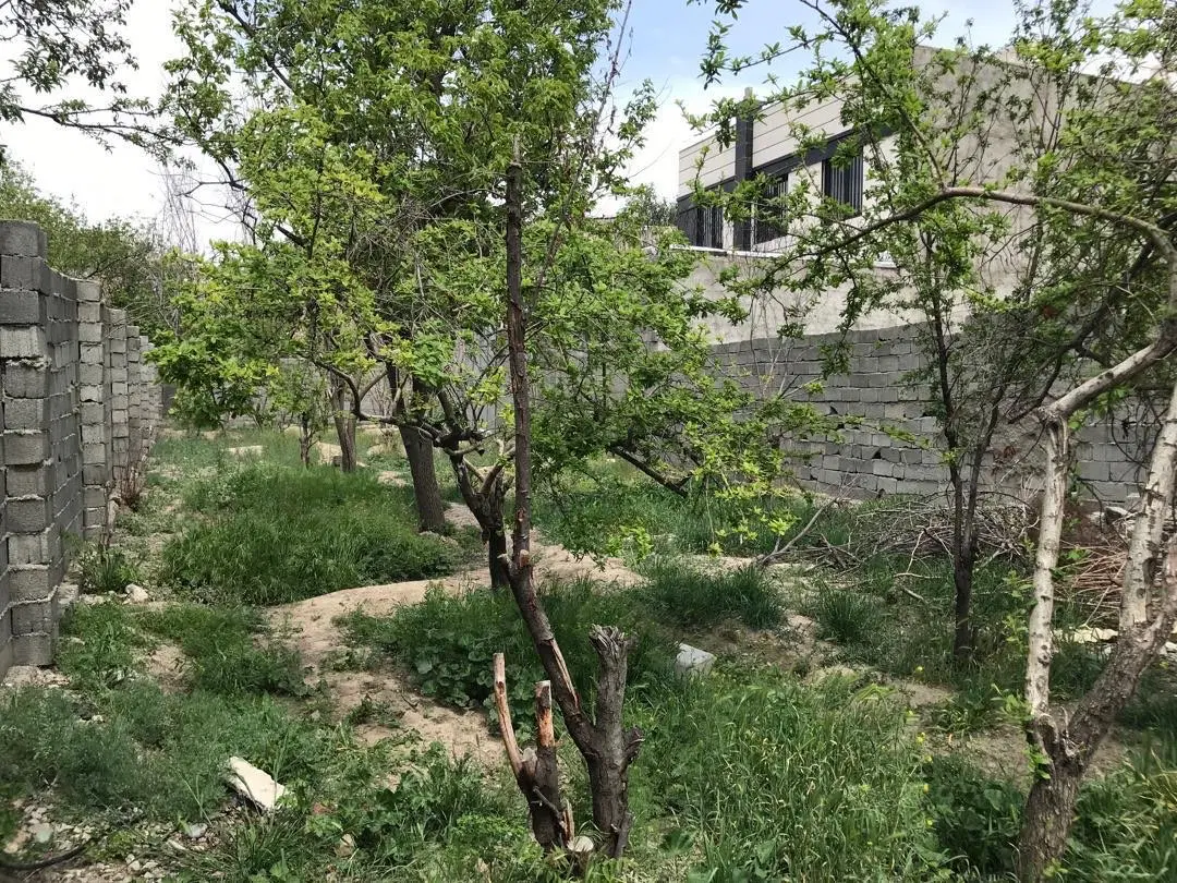 ۷۳۰ متر زمین، ۱۸۱ متر بنای گلنگی، سند تک برگ