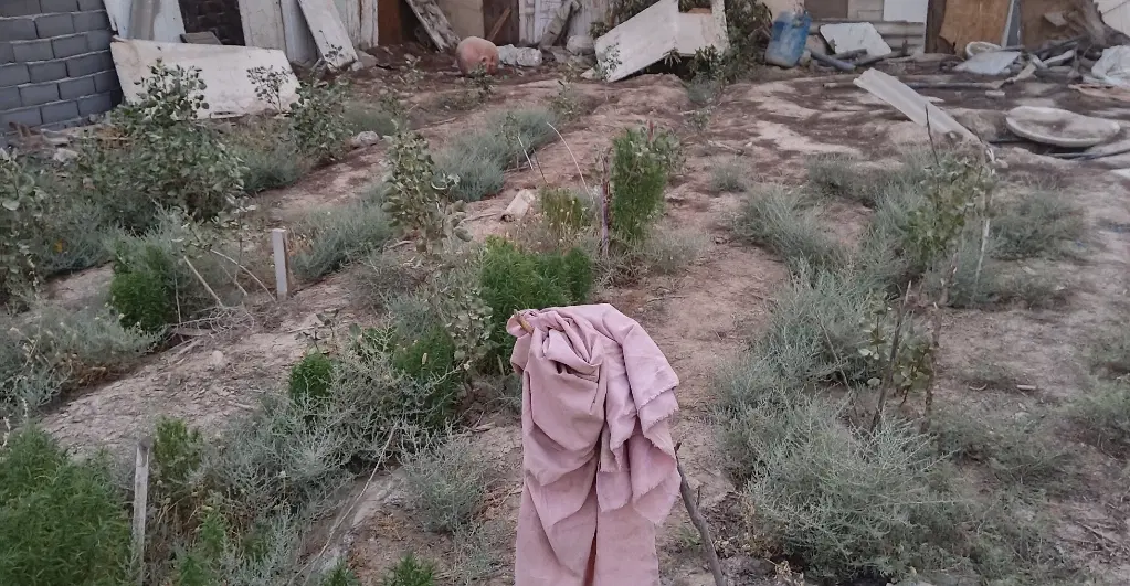 زمین باغی _ باغچه مناسب سرمایه گذاری