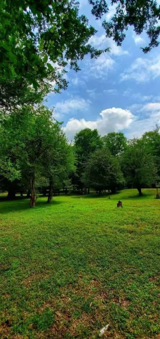فروش خانه ویلایی
