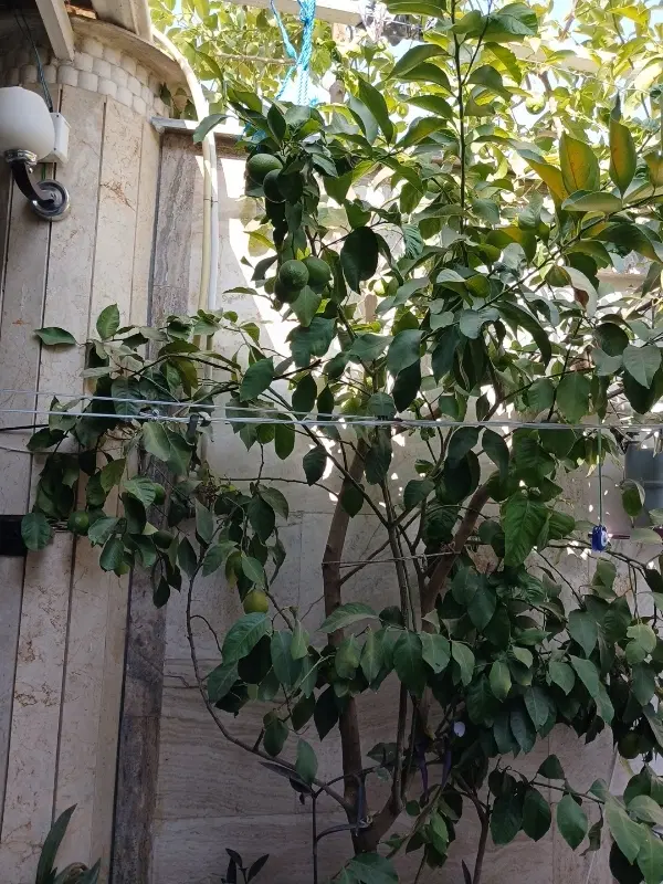 فروش منزل مسکونی