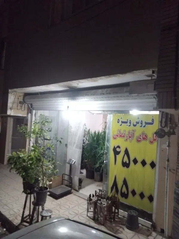 مغازه شهید سلامی 12 فروشی
