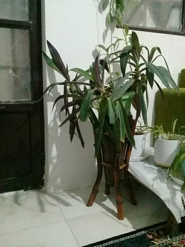 خانه مناسب