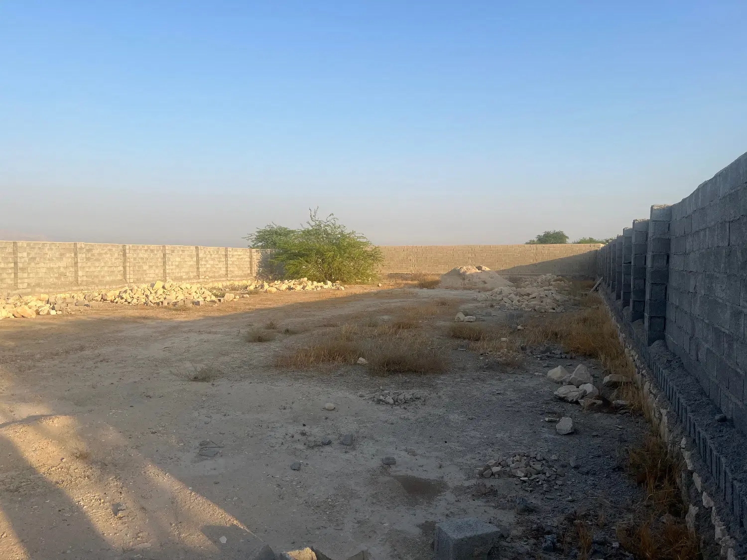 زمین گورک عالی چنگی