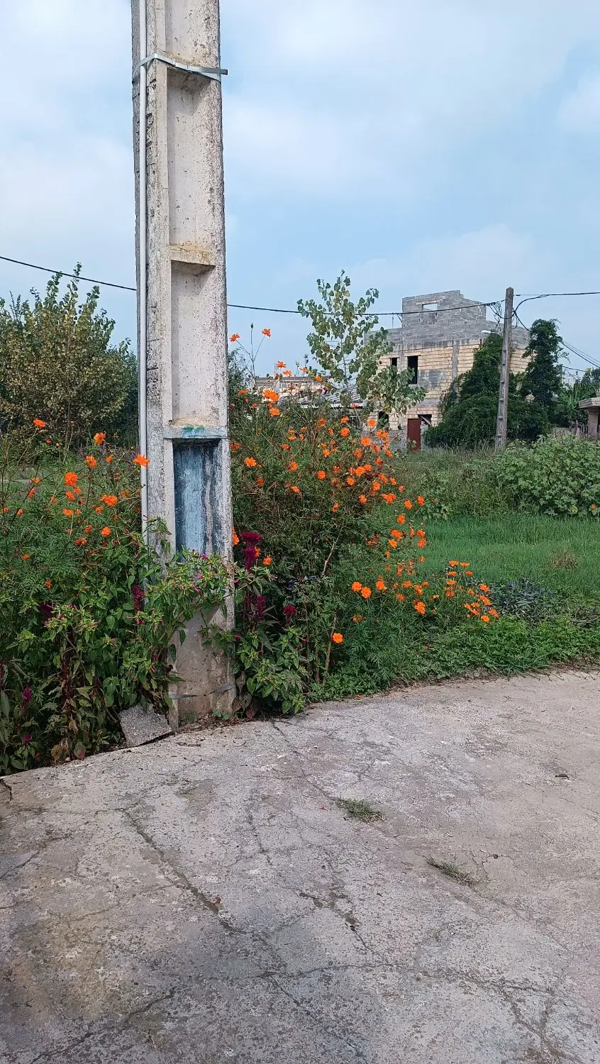 زمین مسکونی 422متر سه بر سند دار