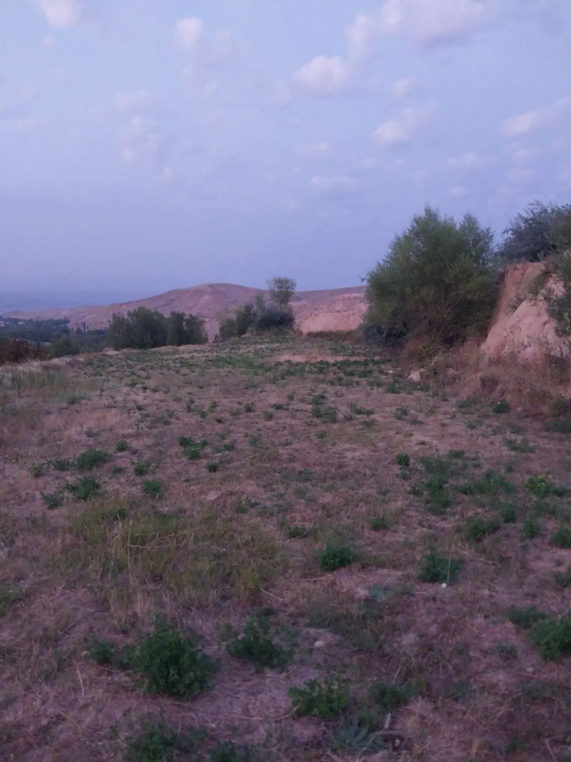 باغ گردو روستای اونار