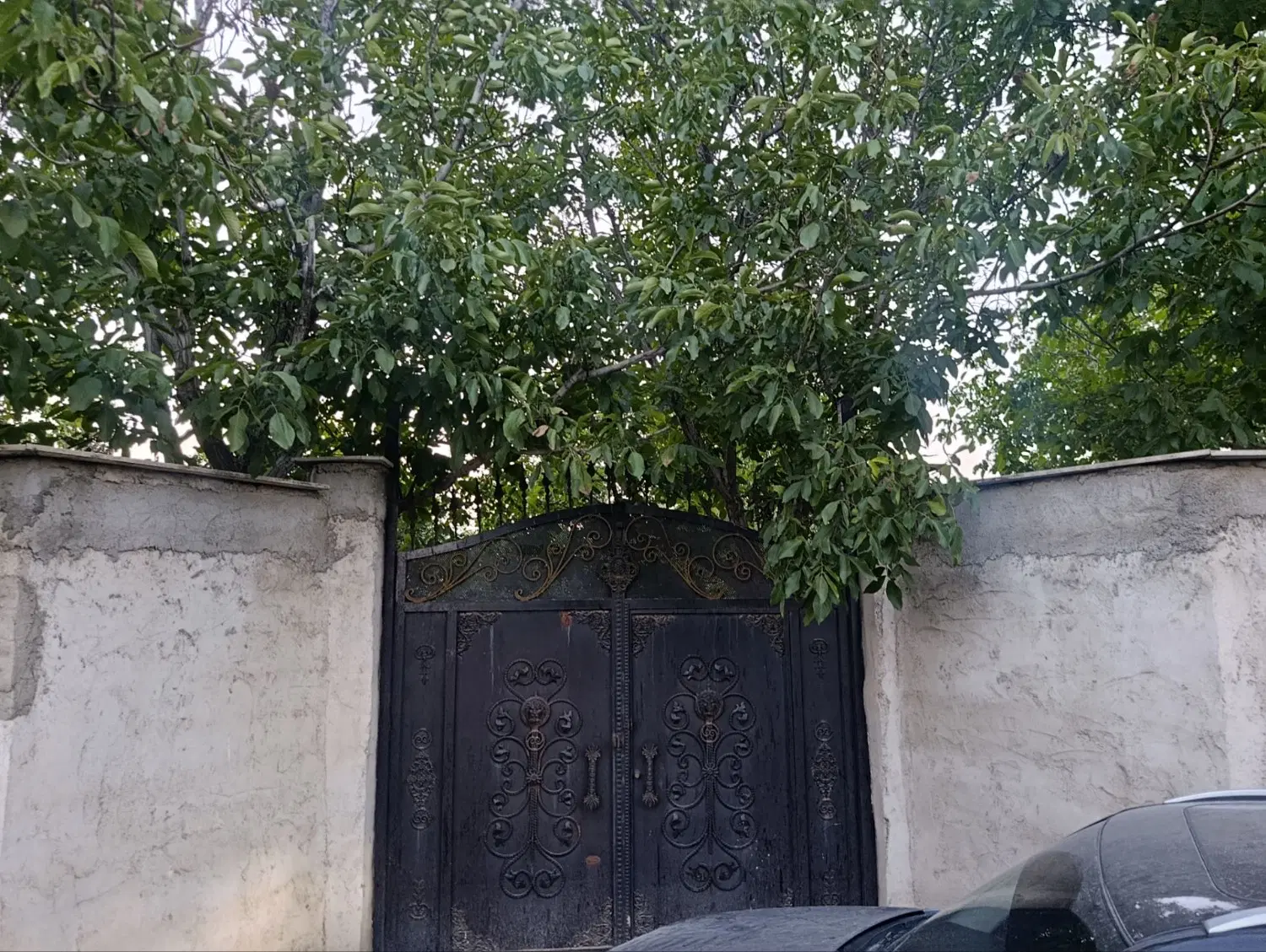 باغچه ۵۰۰ متری