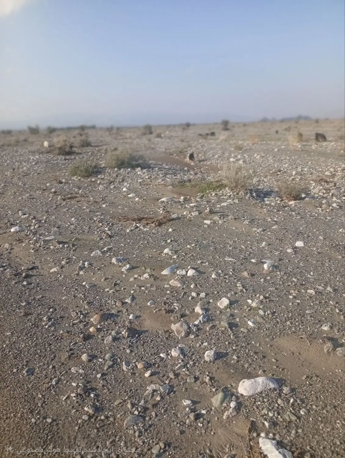 دعوت به شراکت در ساخت نیروگاه خورشیدی