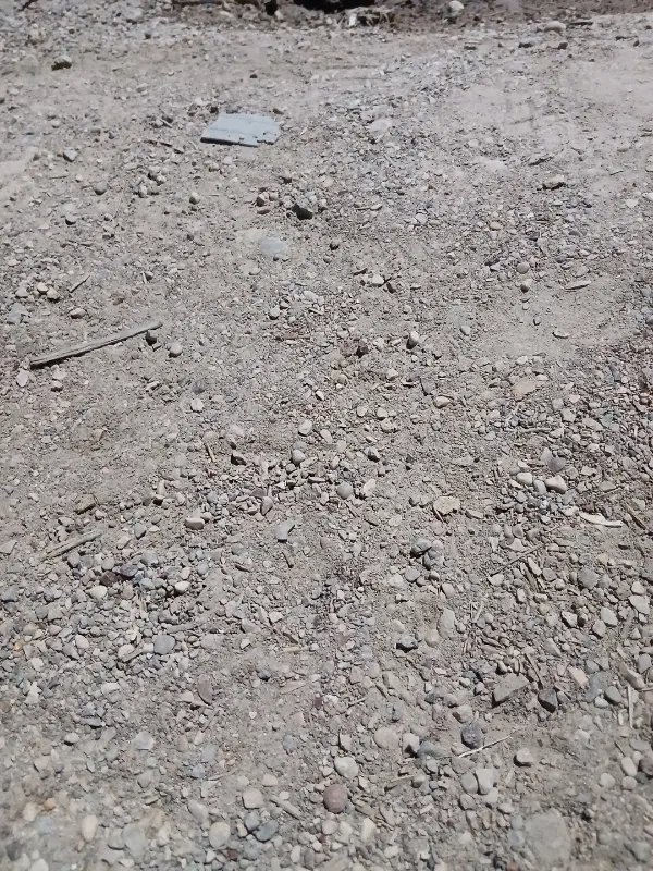 زمین کشاورزی
