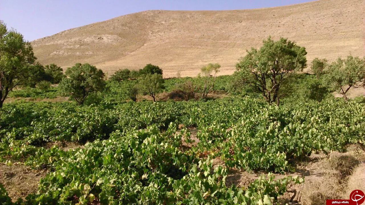 زمین روستایی