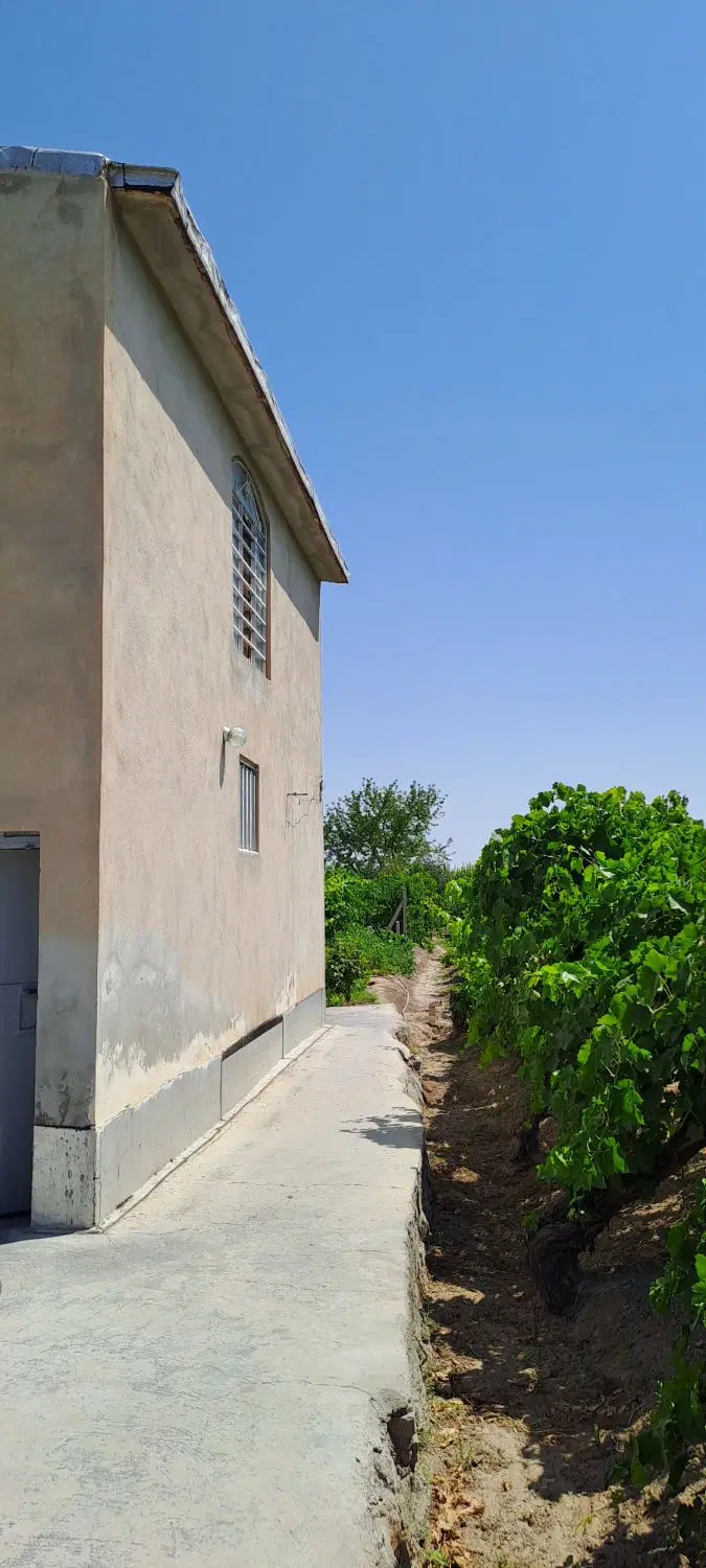 باغ ویلایی