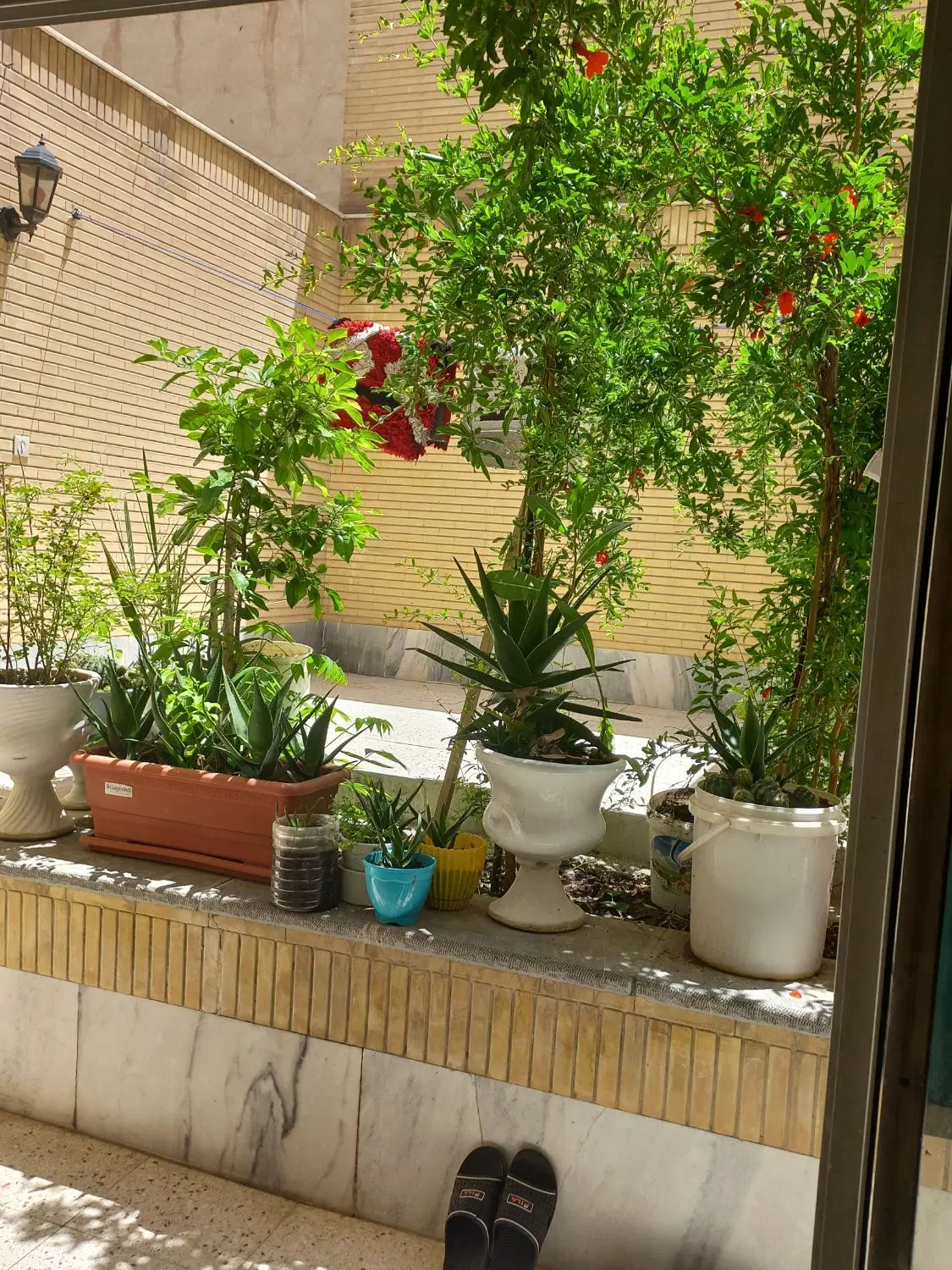 فقط‌خانواده۲نفرتا‌۴نفر