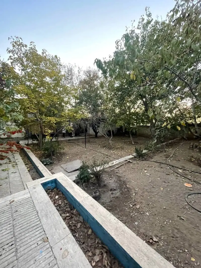 زمین