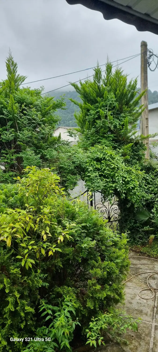 ویلایی دربست