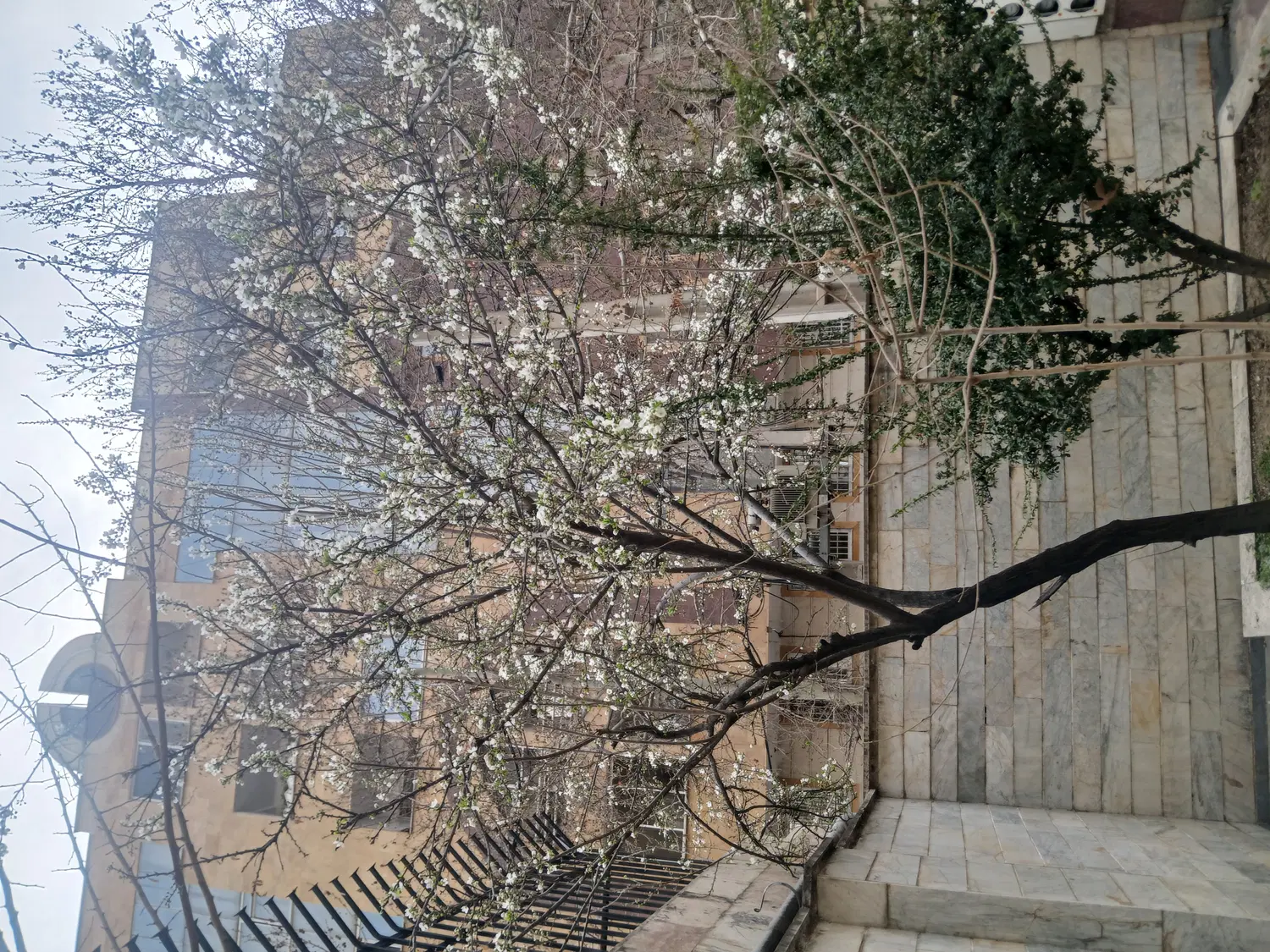فروش ۱۶۰ متر زمین  تجاری