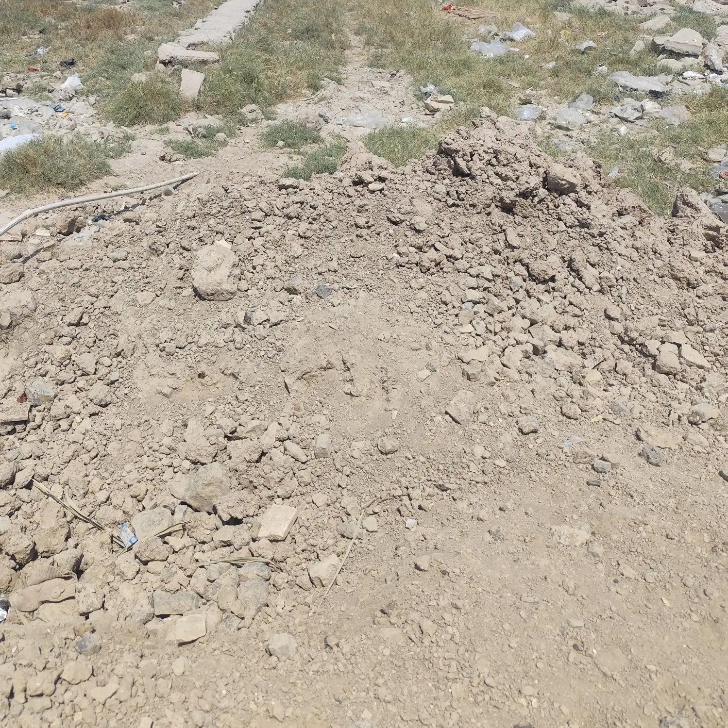 زمین به مساحت ۲۴۰ گلدشت