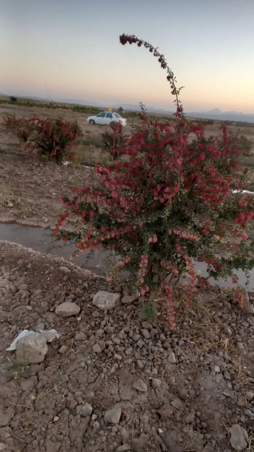 آب چاه پرآب