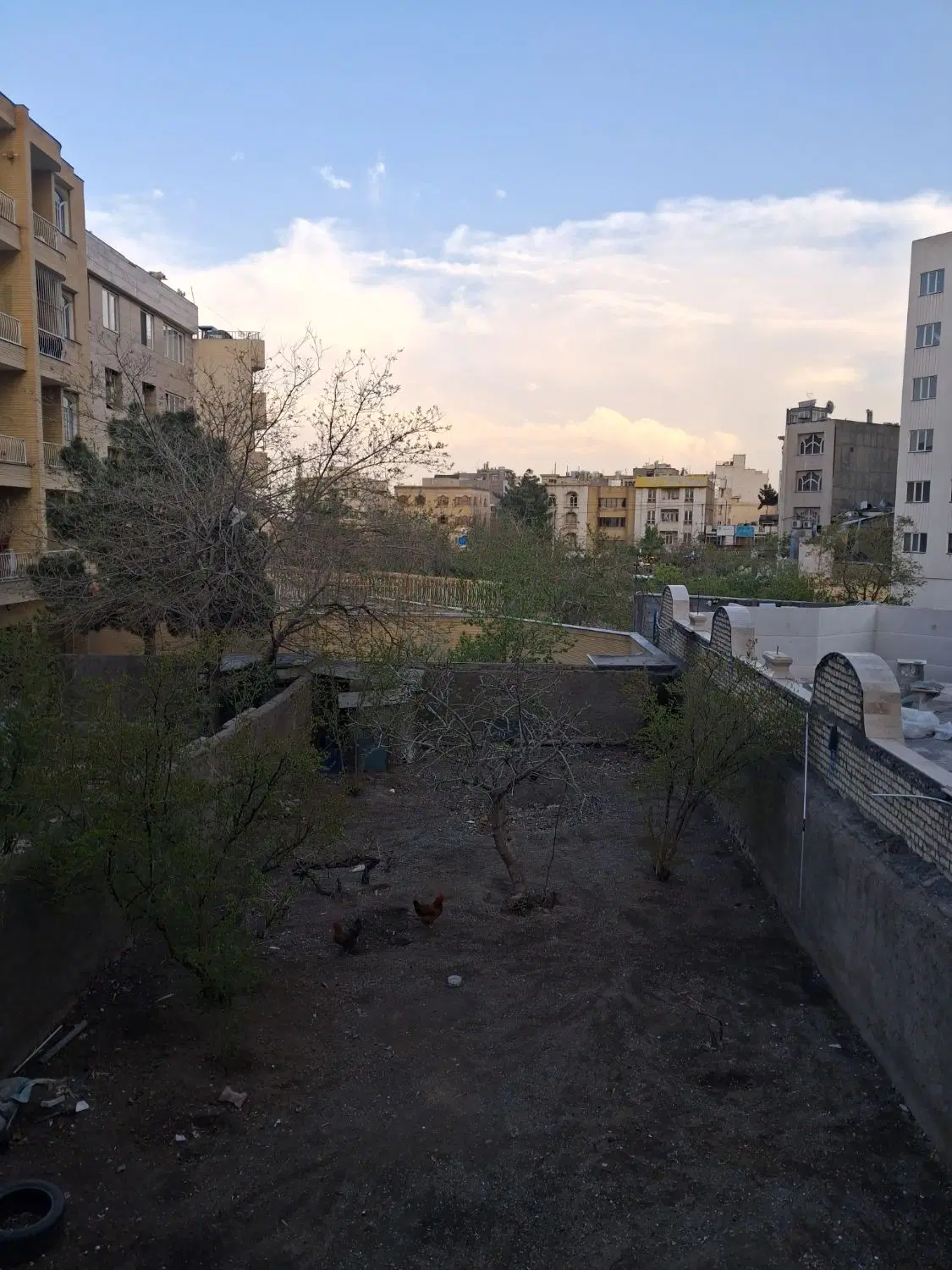 زمین باغی در دهشک