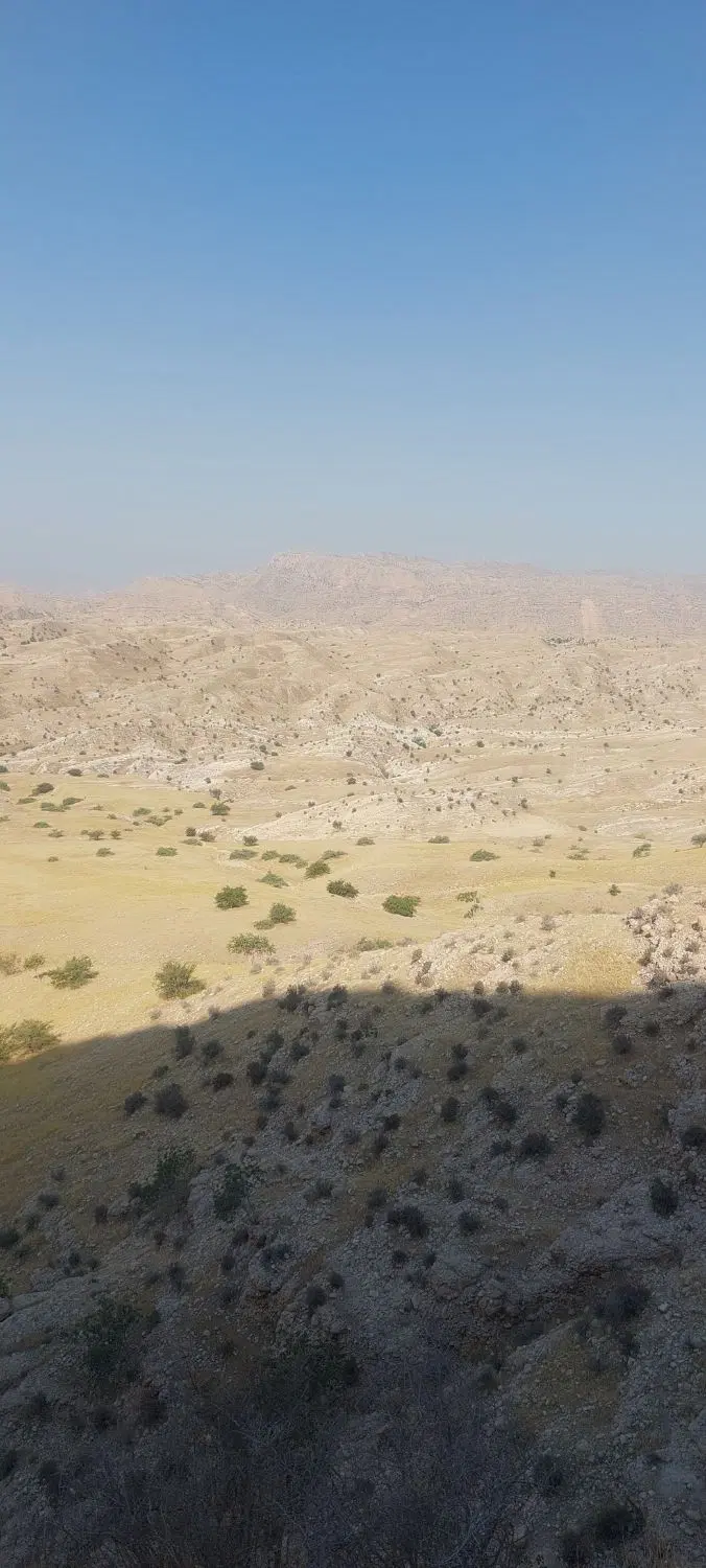 زمین