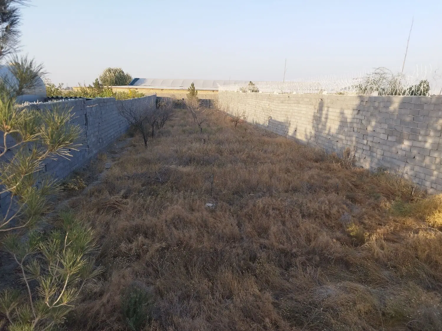 زمین مناسب سرمایه گذاری