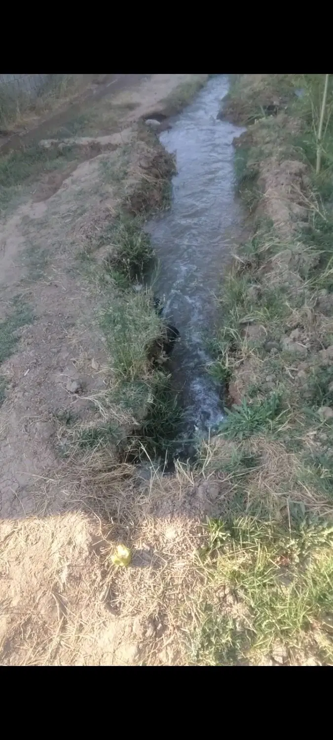۸۰۰متر باغ فروشی