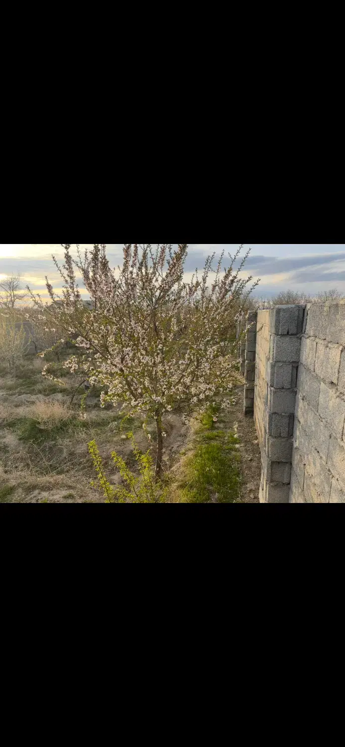 باغ ویلایی خسروشاه خسروشهر حصار وسند