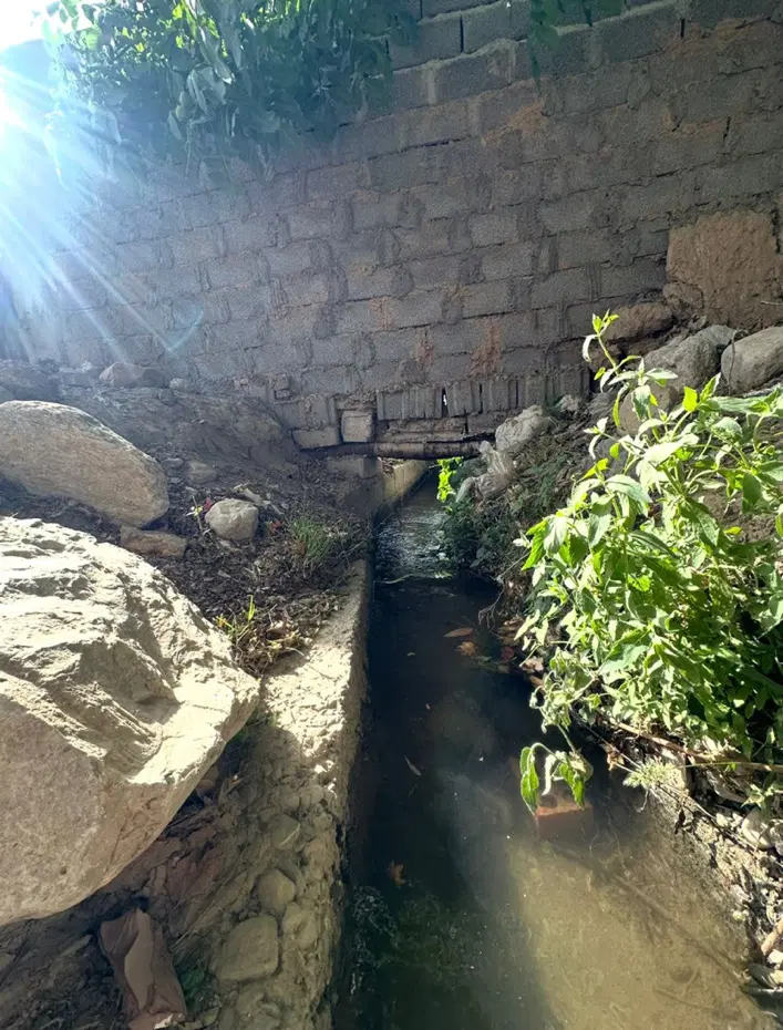 باغ اب دائم