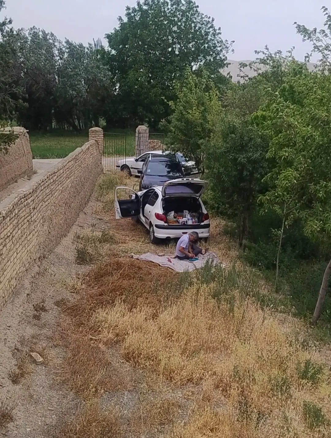 باغچه