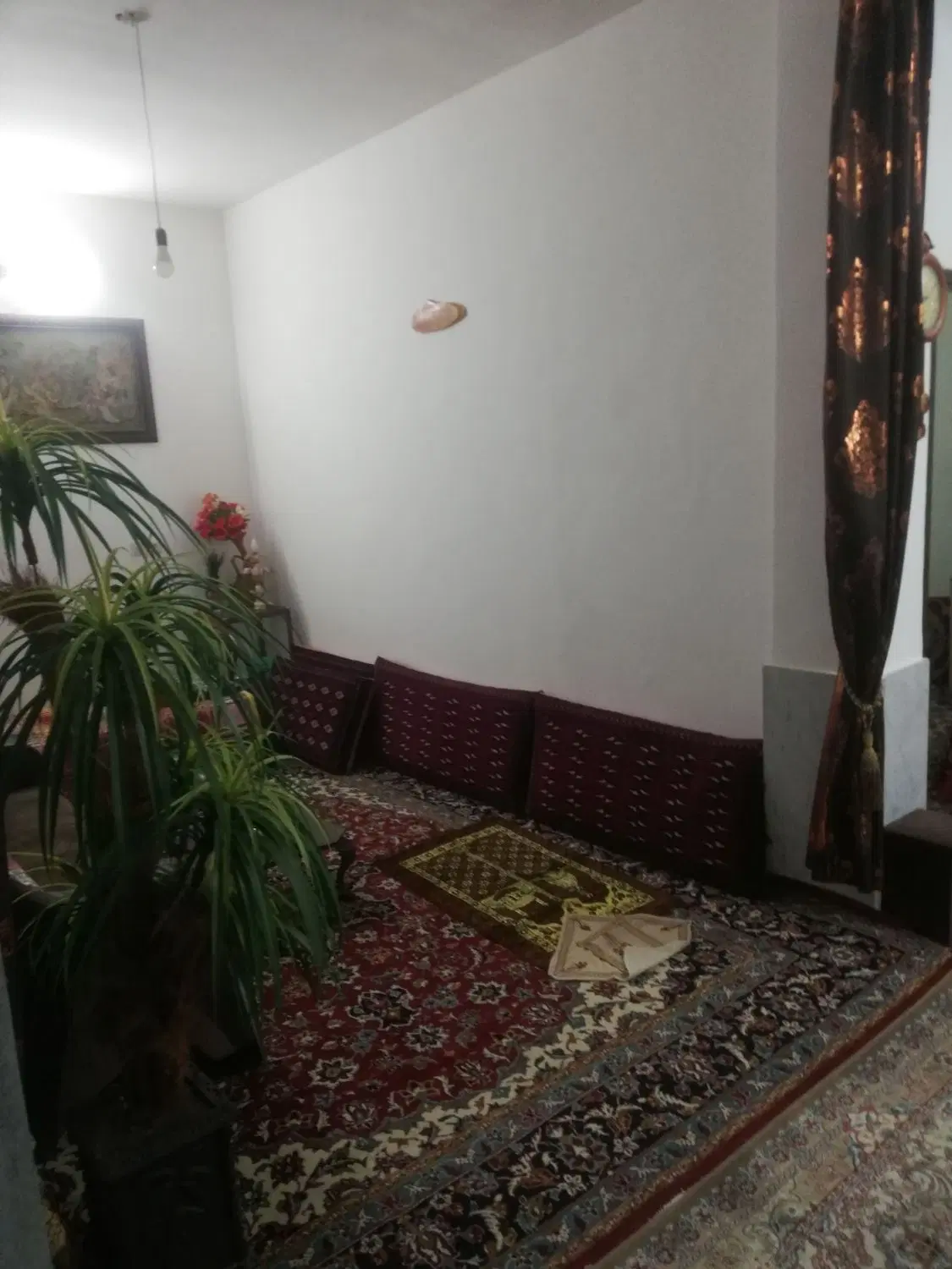 سوییت