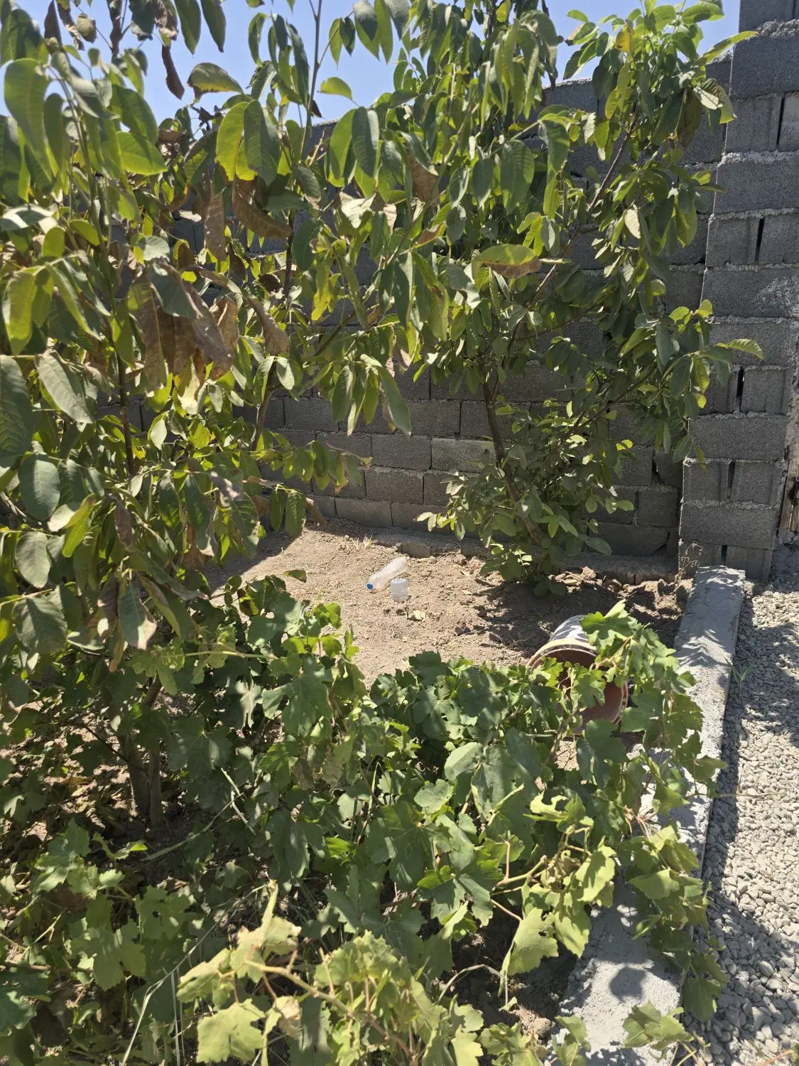 باغچه باغی_دیوار تکمیل_سهم آب سنددار