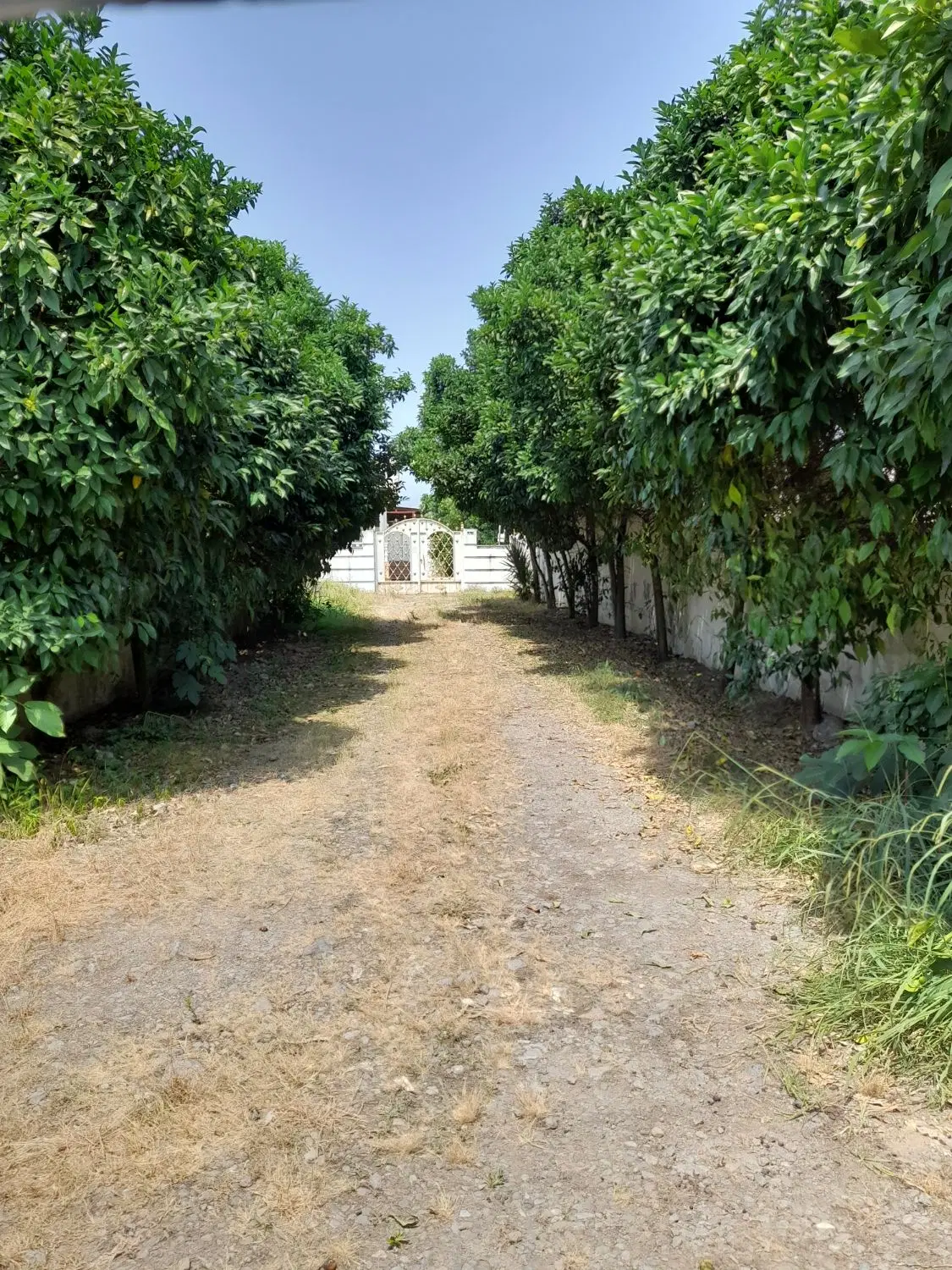 اجاره ویلای شمال