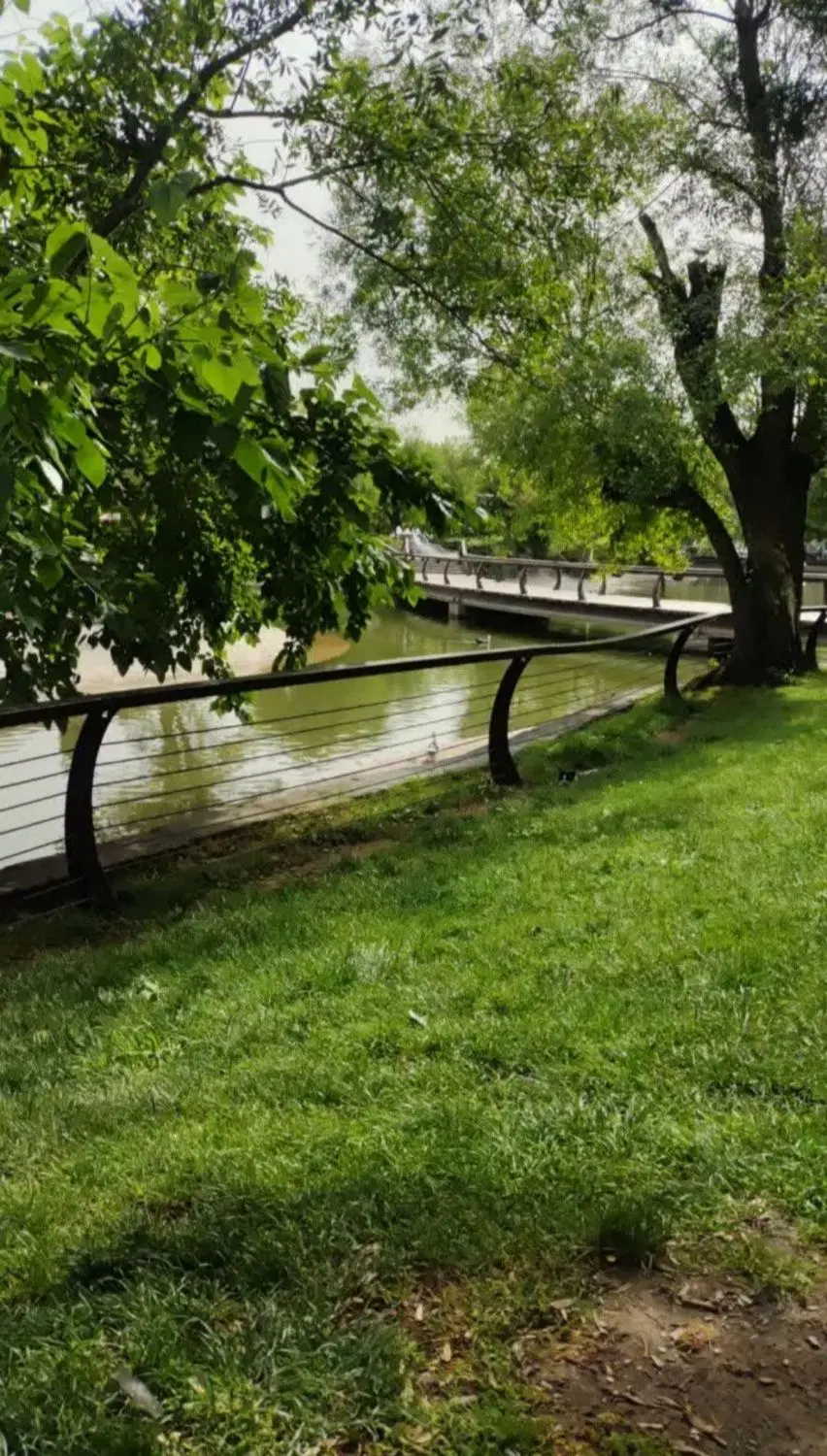 زمین شرفاباد بیست متری مطهری