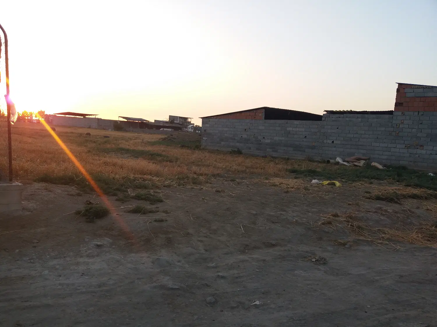 زمین آینده دار