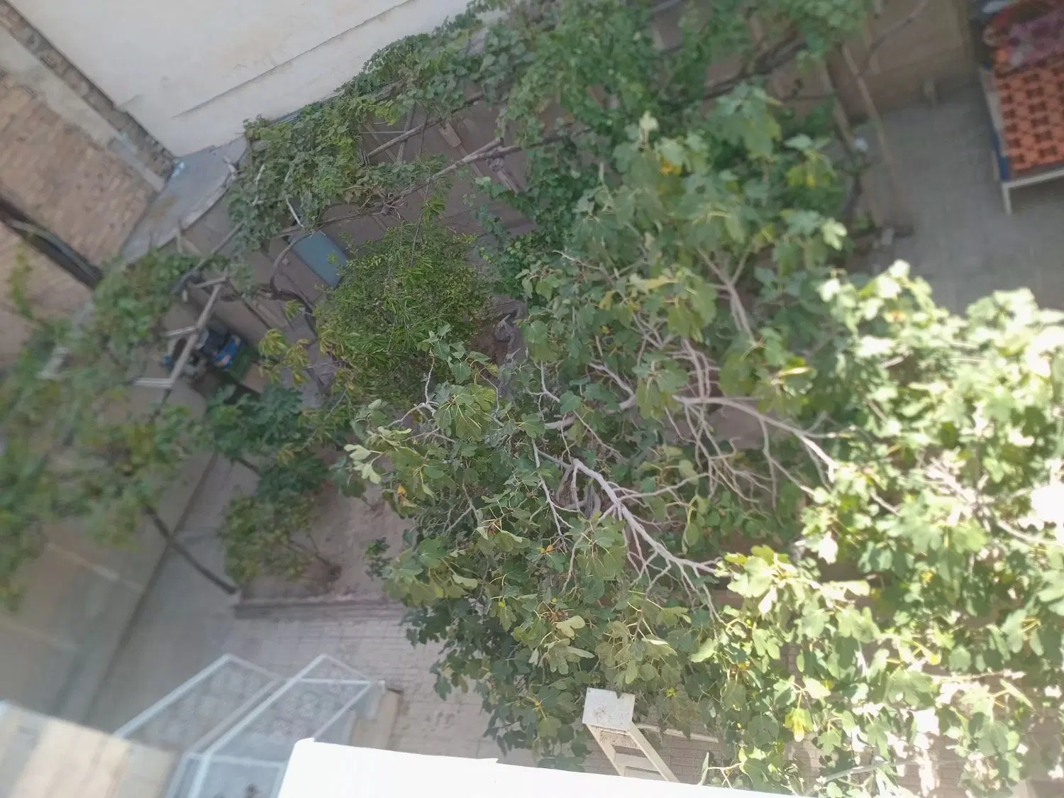 فروش ملک شخصی